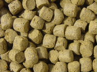 Wheat germ