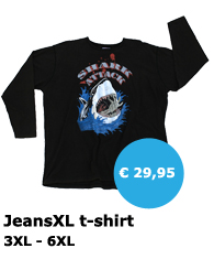 JeansXL - grote maten heren t-shirt - Mister Big