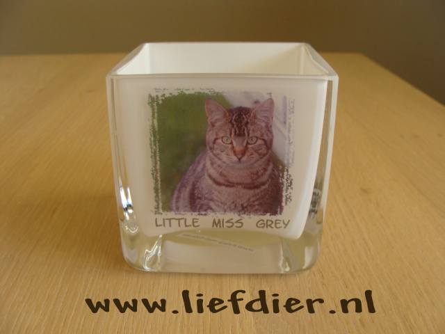 sfeerlicht 2 kat.JPG