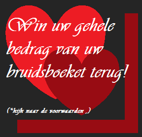 prijs.png