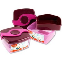https://myshop.s3-external-3.amazonaws.com/shop1651200.pictures.91005asmall_sandwich_box_picnik.jpg