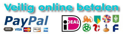 veilig_betalen_onlinewinkel.png
