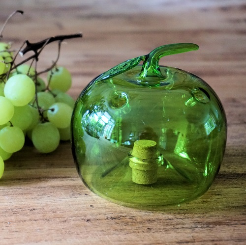 https://myshop.s3-external-3.amazonaws.com/shop2084400.pictures.Fruitvliegenvalgroen01.jpg