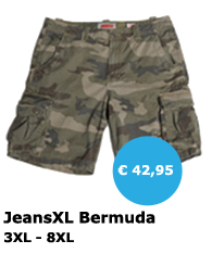 JeansXL 552 - grote maten herenkleding - Mister Big