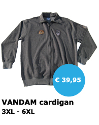 VANDAM Sweater - Grote maten herenkleding - Mister Big