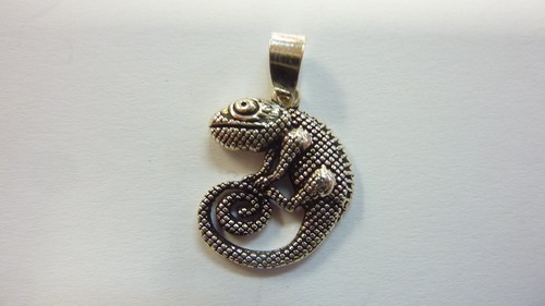 https://myshop.s3-external-3.amazonaws.com/shop2400000.pictures.P2030090.JPG