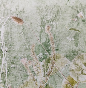 Kunstwerk Blooming
