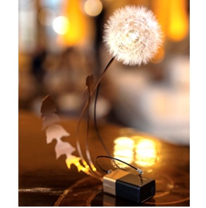 Dandelight