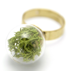 Ring green moss