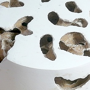 Sporen XII