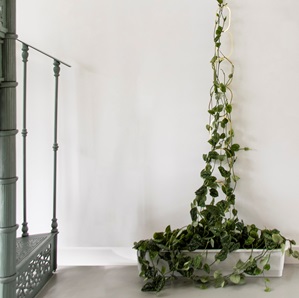 Brass support for plants