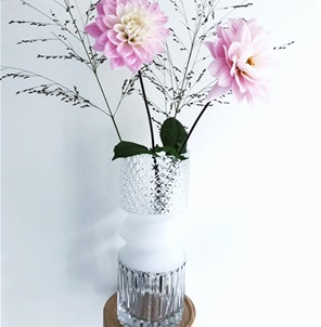 Vase Clear
