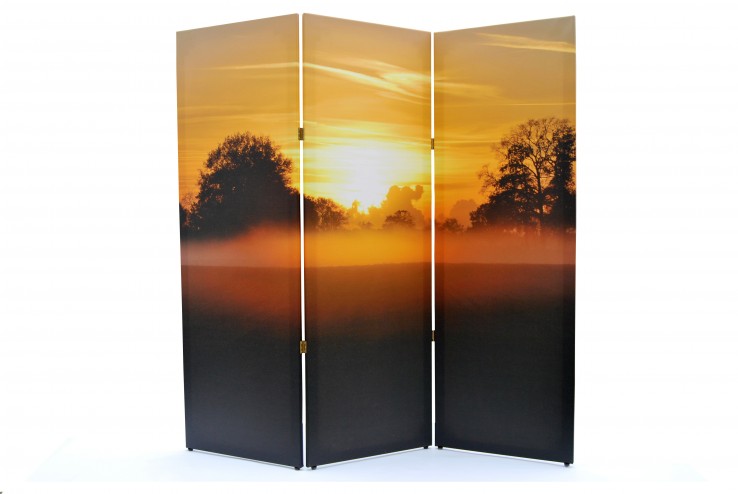 Goedkoopste foto op forex