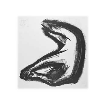 De Kruisweg van onze Heer (IX)