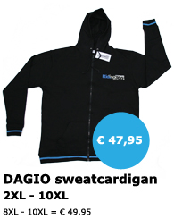 DAGIO Hoodie - Grote maten herenkleding - Mister Big
