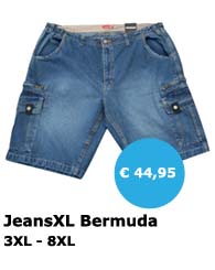 JeansXL 512 - grote maten herenkleding - misterbig