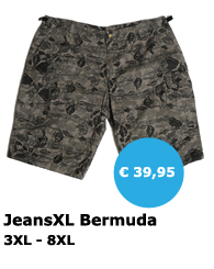 JeansXL 539 - grote maten herenkleding - Mister Big