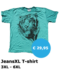 JeansXL 772 - Grote maten herenkleding - Mister Big